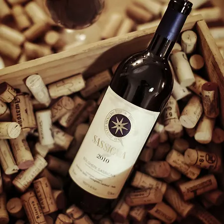 Schrofenstein 호텔