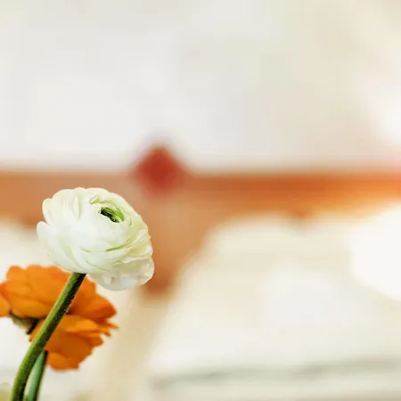 호텔 Schrofenstein 랑데크