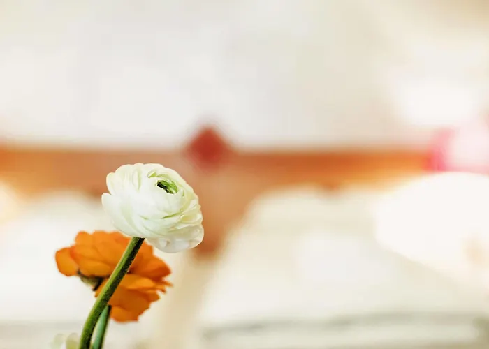 فندق Schrofenstein لاندك